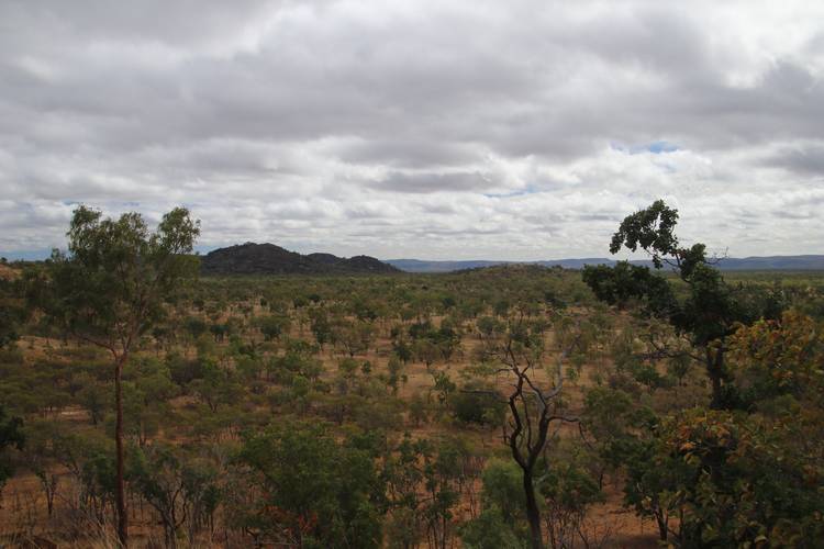 Lookout over the savannah