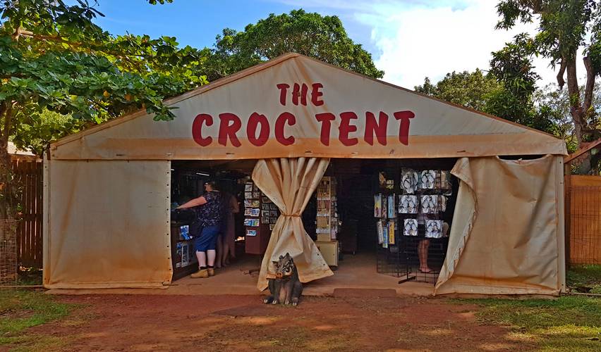 The iconic Croc Tent